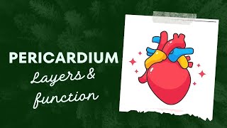 pericardium types pericardial cavity pericardial fluid [upl. by Adlemy]