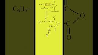 Perkins Reaction  Preparation of Cinnamic Acid  Carbonyl Compounds  Organic Chemistry Class 12 [upl. by Aikan985]