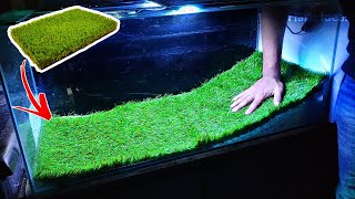 Fish Tank Decoration Ideas With Artificial Grass Fish Tank Setup [upl. by Ahsetra]