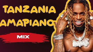 🔥 Tanzania Amapiano Mix 2024  DJ Wesley John  The Ultimate Dance Vibes [upl. by Ahsenav]