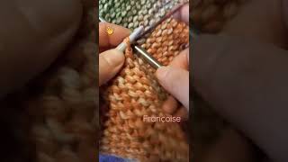 Tuto Tricot Relever les mailles sur du point Mousse facile pour bordure tricot shorts [upl. by Misha]