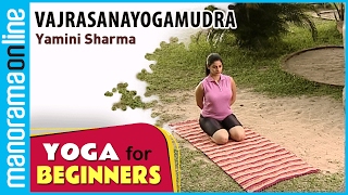 Vajrasanayogamudra  Yoga for beginners by Yamini Sharma  Health Benefits  Manorama Online [upl. by Aehtla340]