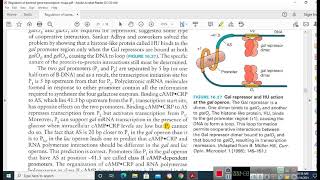 GALACTOSE OPERON IN MALAYALAM [upl. by Fotzsyzrk4]