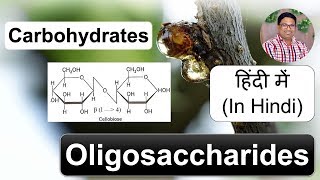 कार्बोहायड्रेट  ओलिगोसैकेराइड  Biomolecules  Carbohydrates Oligosaccharides In Hindi [upl. by Llenyt726]