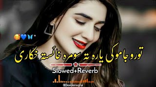 Toro Jamo Ki Yara Ta Sumra Khayista Khakare 🥰  Slowed And Reverb  Pashto New Song  Deedanoona [upl. by Voorhis]