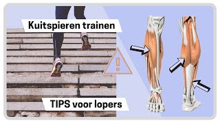 Gespierde kuiten Uitleg over jouw kuitspieren en 5 spierversterkende kuit oefeningen [upl. by Hoag]