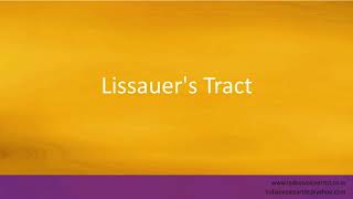 Pronunciation of the words quotLissauers Tractquot [upl. by Rabkin404]