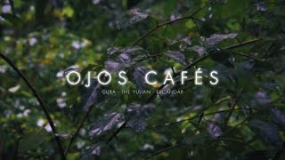 OJOS CAFÉS  Cuba ft The Yulian amp Escandar Video Oficial [upl. by Eylrac]