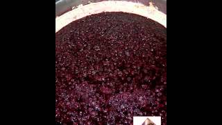 Vinification en rouge  macération [upl. by Halian]