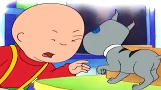 Caillou en Español  Caillou y el Pequeño Gatito  Dibujos animados para niños  Dibujos Infantiles [upl. by Revell]