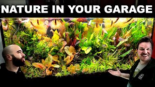 Freshwater Biologists AMAZING Garage Aquariums [upl. by Ardekan933]