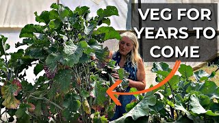 Perennial Plants at Incredible Vegetables  Easy to grow veg to harvest year after year [upl. by Eelamme]