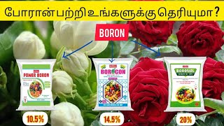 Boron  Micronutrient Fertilizer  Symptoms  Uses  Dose [upl. by Nnairb]