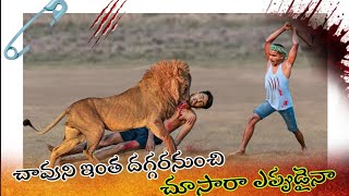 Bannerghatta safari  lion attack [upl. by Ayek]