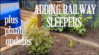 ADDING RAILWAY SLEEPERS plus PLANTS UPDATES 🌴🌞 [upl. by Kreiner]