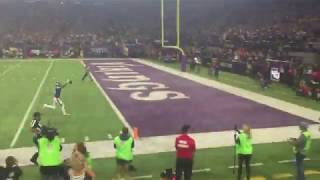 Minneapolis Miracle  Winning Play  Case Keenum To Stefon Diggs [upl. by Yelir]