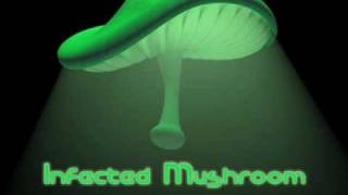 Shakawkaw  Infected Mushroom [upl. by Atiuqihs]