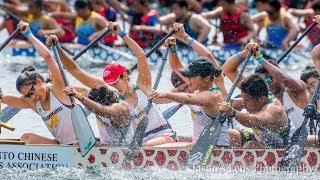 Dragon Boat Race Festival 2018 at Toronto Centre Island Ontario Canada [upl. by Gertrudis94]