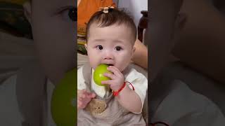 cute baby eating lemon  reaction video  babyshorts baby [upl. by Seniag701]