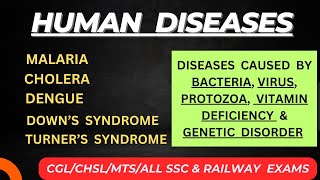 Diseases Caused by Bacteria Virus Protozoa  Diseases related to Sex chromosomes  Autosomes [upl. by Terrej]