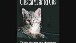 Classical Music for Cats  Calming piano pet music for your cat [upl. by Curzon]