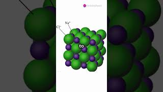 Neutralization Reaction Explained Simply I shorts science chemistry cbse facts [upl. by Adniuqal]