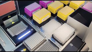 Opentrons Flex Zymo MagBead DNA Kit ➡ Illumina DNA Prep [upl. by Notsnorb]