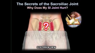 sacroiliac Joint pain why it Hurts  Everything You Need To Know  Dr Nabil Ebraheim [upl. by Bernadette]