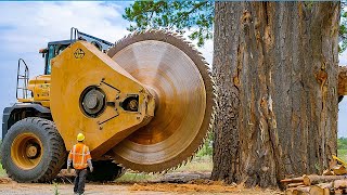 Extreme Dangerous Fastest Big Chainsaw Cutting Tree Machines  Monster Stump Removal Excavator 30 [upl. by Ardnaeel]