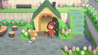 Animal Crossing New Horizons  Happy Home Paradise Rebuild for Maple [upl. by Naoma]