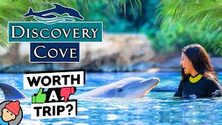 Discovery Cove Orlando FULL TOUR amp REVIEW  TIPS [upl. by Rebe150]