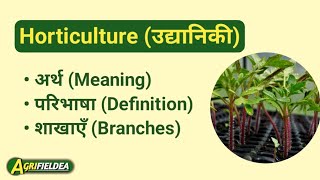 Horticulture  Meaning Definition  Branches of Horticulture in hindi horticulture agrifieldea [upl. by Ettenim30]