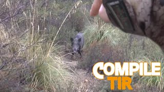 Top 10 best shots hunting Wild boar  Top 10 des meilleurs tirs de Sanglier  2015 [upl. by Iahcedrom]