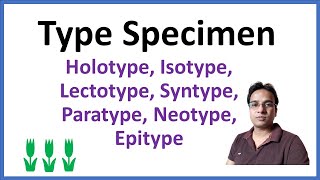 Type Specimen  Nomenclature Type  Typification in botany [upl. by Buller]