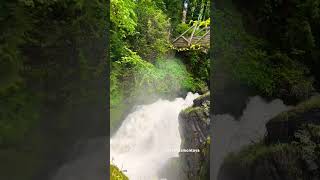 Tumwater falls✨ water travel waterfall washington [upl. by Dituri425]