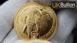 2022 1oz Big 5 Elephant Gold Coin I Buy Now [upl. by Einwahr162]