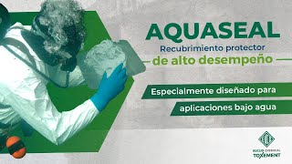 TOXEMENT  Aplicación Aquaseal y Toc 8010 [upl. by Lekkim]