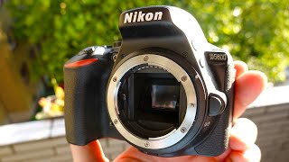 Nikon D5600 DSLR camera test  sample images  video footage in 2024 [upl. by Carolle710]