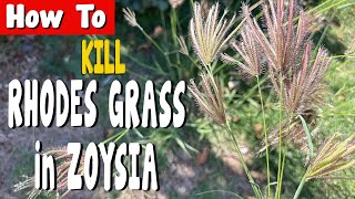 How to Kill Rhodes Grass in Zoysia [upl. by Malaspina]