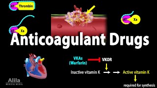 Pharmacology Anticoagulants Animation [upl. by Anchie]