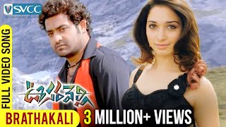 Oosaravelli Movie  Brathakali Video Song  Jr NTR  Tamannaah  DSP  Surender Reddy [upl. by Beebe127]