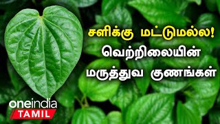 வெற்றிலை மருத்துவ குணங்கள்  சளிக்கு மட்டுமல்ல  Vetrilai Health Benefits in Tamil  Oneindia Tamil [upl. by Tinor]