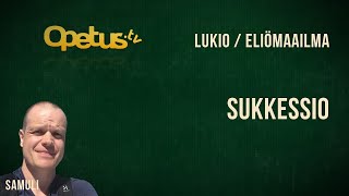 Sukkessio [upl. by Phelps]