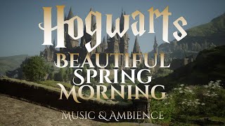 Beautiful Spring Morning on Hogwarts Grounds  Hogwarts Legacy Harry Potter Ambience [upl. by Jasik]