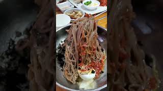 slices of boiled meat buckwheat noodles  potato pancakes  네자매평강막국수 [upl. by Neveda]