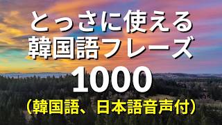 とっさに使える・韓国語会話フレーズ1000 韓国語聞き流し [upl. by Cummins757]