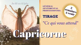 ♑️ Capricorne✨Juin 2023✨Les énergies sont avec vous Profitezen La transition se fait  Tirage [upl. by Ayoral]