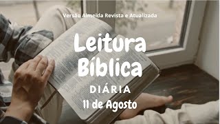 Leitura Bíblica Anual 11 Agosto Ne 11314  1Co 7124  Sl 311924  Pv 214 biblia [upl. by Aelahc386]