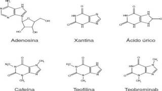 Xantinas [upl. by Novanod]