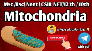 Mitochondria in hindi notes Power of house of cell 🧬mitochondira mitochondria in hindi medium🧬pdf [upl. by Geilich670]